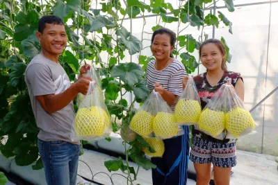  สมัครเรียน วไลยอลงกรณ์ ,สมัครเรียน vru ,หลักสูตรวิทยาศาสตรบัณฑิต สาขาวิชาเกษตรศาสตร์ กลุ่มวิชาพืชศาสตร์ ,มรภ.วไลยอลงกรณ์