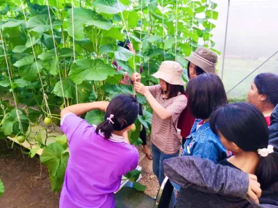  สมัครเรียน วไลยอลงกรณ์ ,สมัครเรียน vru ,หลักสูตรวิทยาศาสตรบัณฑิต สาขาวิชาเกษตรศาสตร์ กลุ่มวิชาพืชศาสตร์ ,มรภ.วไลยอลงกรณ์