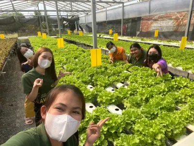  สมัครเรียน วไลยอลงกรณ์ ,สมัครเรียน vru ,หลักสูตรวิทยาศาสตรบัณฑิต สาขาวิชาเกษตรศาสตร์ กลุ่มวิชาพืชศาสตร์ ,มรภ.วไลยอลงกรณ์