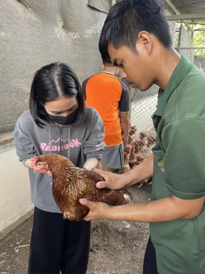  สมัครเรียน วไลยอลงกรณ์ ,สมัครเรียน vru ,หลักสูตรวิทยาศาสตรบัณฑิต สาขาวิชาเกษตรศาสตร์ กลุ่มวิชาสัตวศาสตร์ ,มรภ.วไลยอลงกรณ์