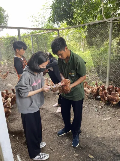  สมัครเรียน วไลยอลงกรณ์ ,สมัครเรียน vru ,หลักสูตรวิทยาศาสตรบัณฑิต สาขาวิชาเกษตรศาสตร์ กลุ่มวิชาสัตวศาสตร์ ,มรภ.วไลยอลงกรณ์