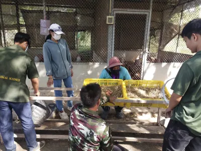  สมัครเรียน วไลยอลงกรณ์ ,สมัครเรียน vru ,หลักสูตรวิทยาศาสตรบัณฑิต สาขาวิชาเกษตรศาสตร์ กลุ่มวิชาสัตวศาสตร์ ,มรภ.วไลยอลงกรณ์